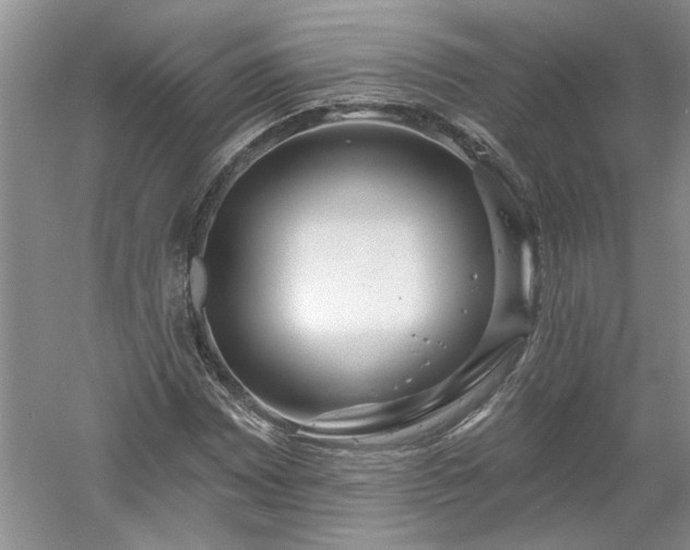 X0000061101065200511210901