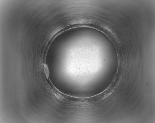 X0000061101073200511210901
