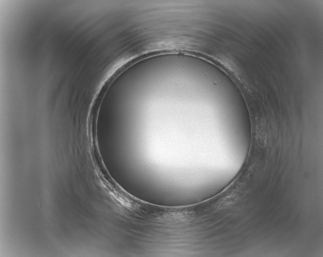 X0000061101078200511210901
