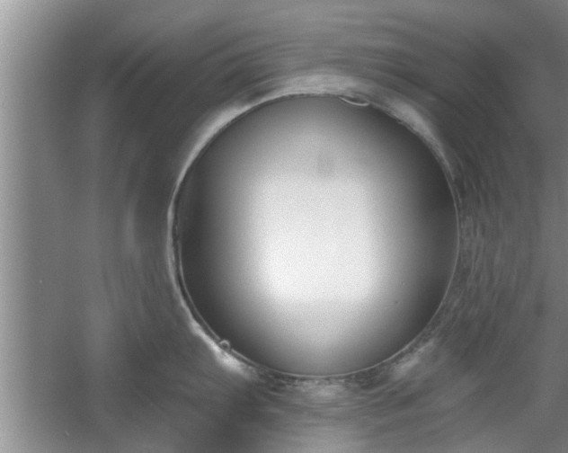 X0000061101103200511210900