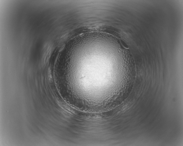 X0000061101106200511210859