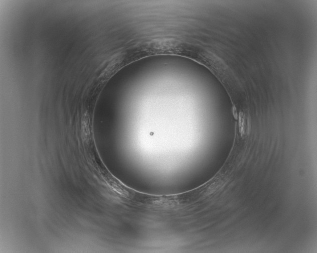 X0000061101107200511210859