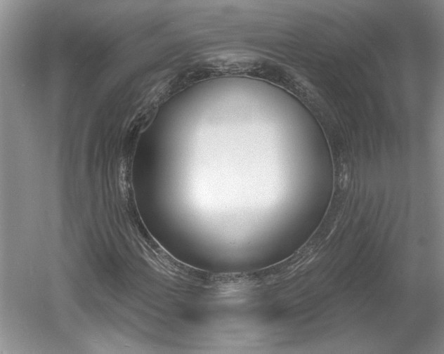 X0000061101108200511210900
