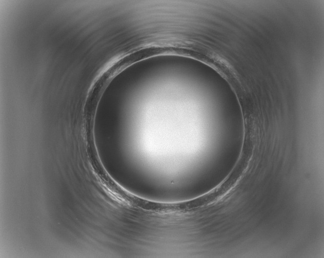 X0000061101114200511210900