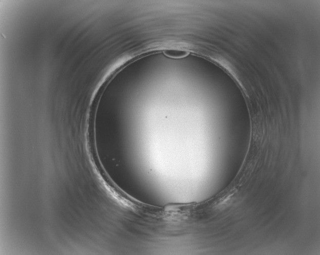 X0000061101139200511210900