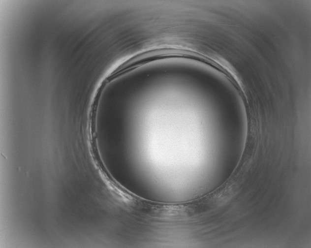 X0000061101144200511210900