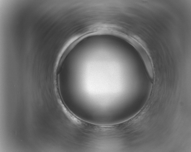 X0000061101152200511210900