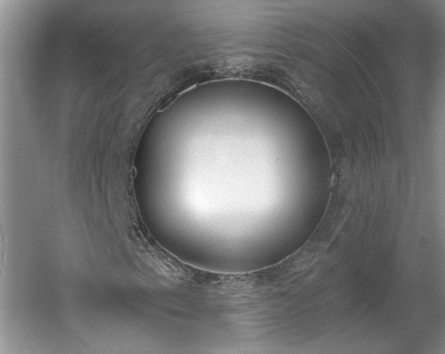 X0000061101153200511210859
