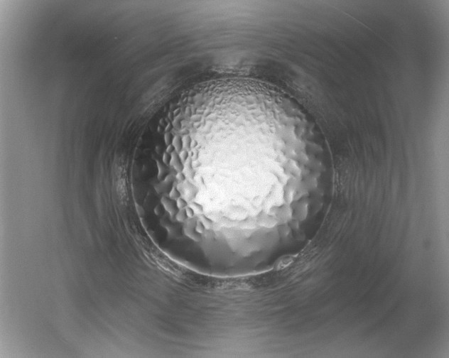X0000061101154200511210859