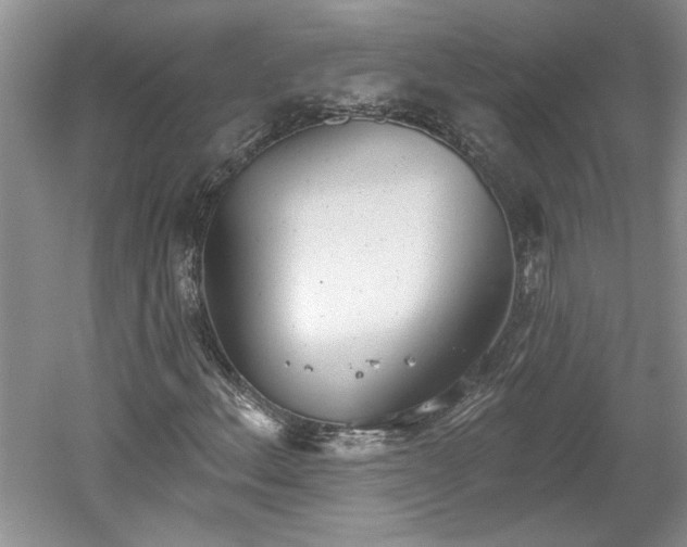 X0000061101156200511210859