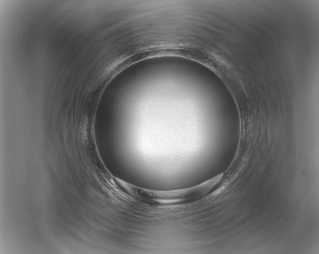 X0000061101161200511210859