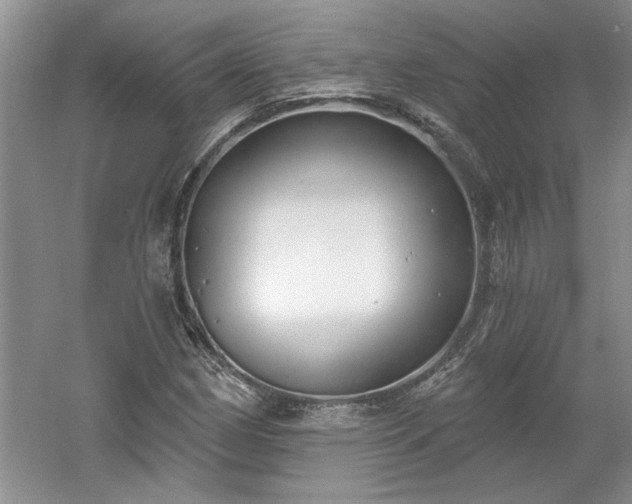 X0000061101162200511210859