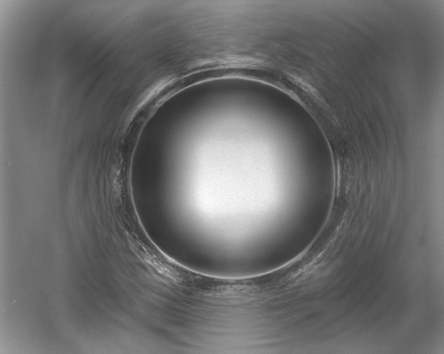 X0000061101163200511210859