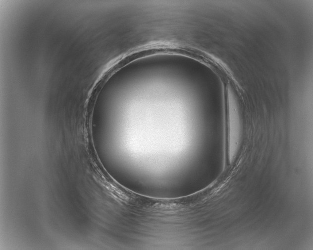 X0000061101168200511210859