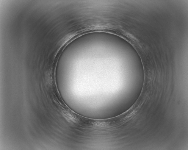 X0000061101170200511210859