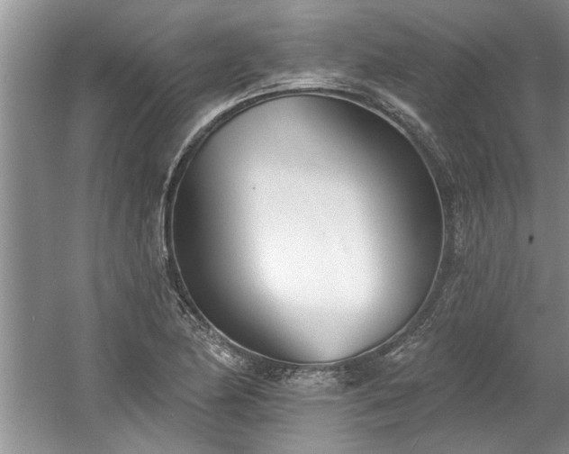 X0000061101174200511210859