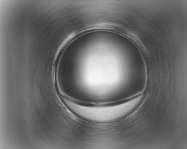 X0000061101180200511210859