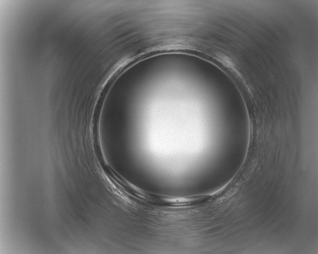 X0000061101181200511210859