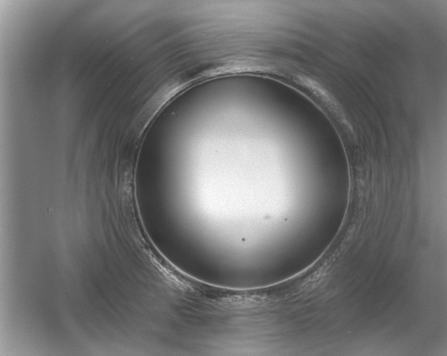 X0000061101185200511210859
