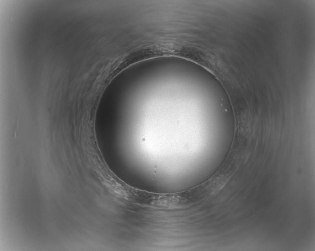 X0000061101201200511210858