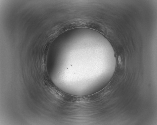 X0000061101203200511210858