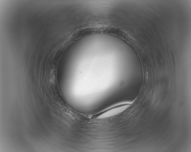 X0000061101204200511210858