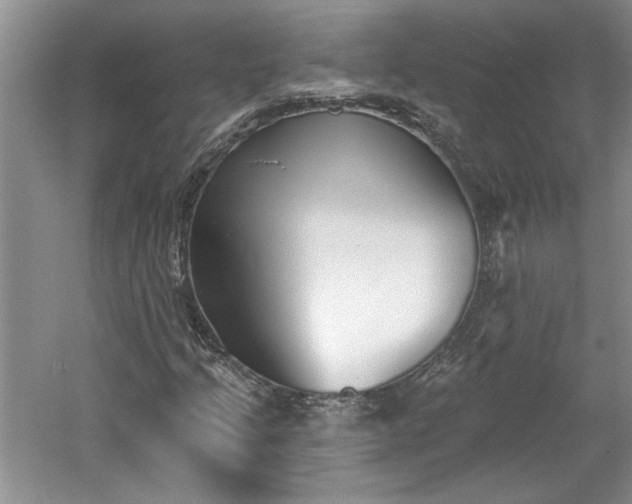 X0000061101205200511210858