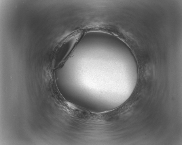 X0000061101206200511210858