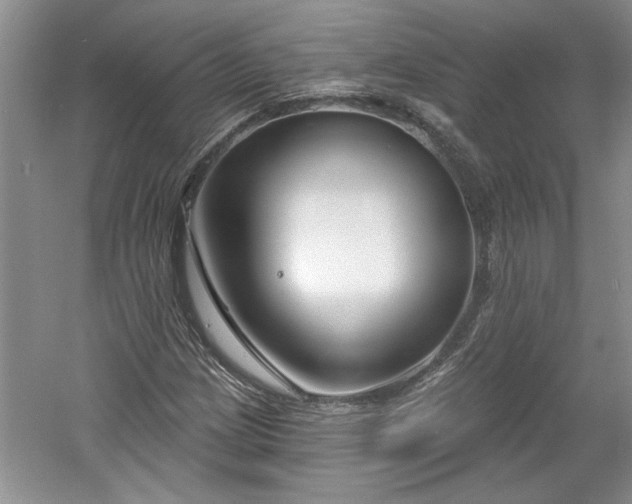 X0000061101209200511210858