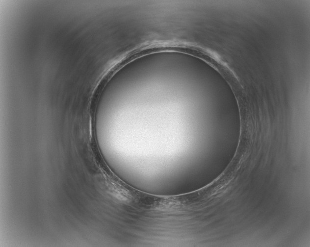 X0000061101221200511210858