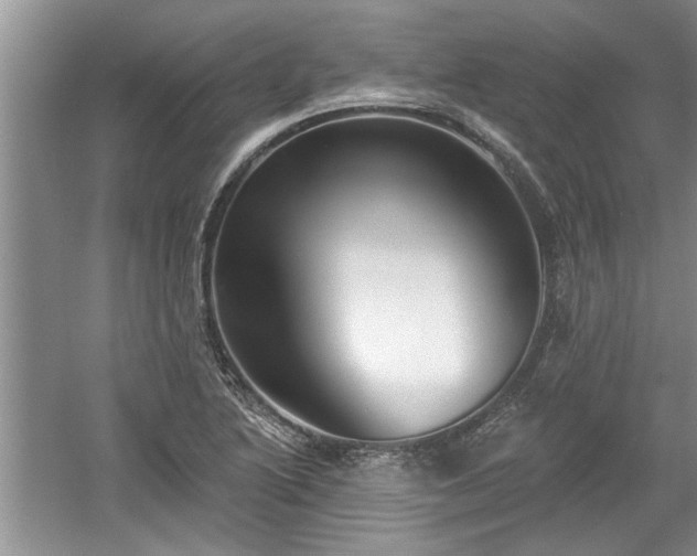 X0000061101222200511210858