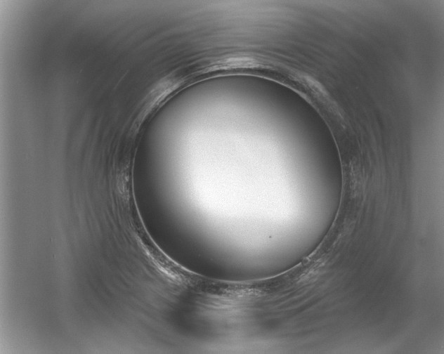 X0000061101225200511210858