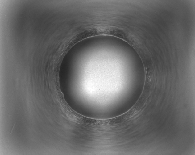 X0000061101249200511210858