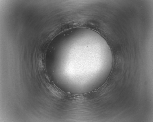 X0000061101250200511210858