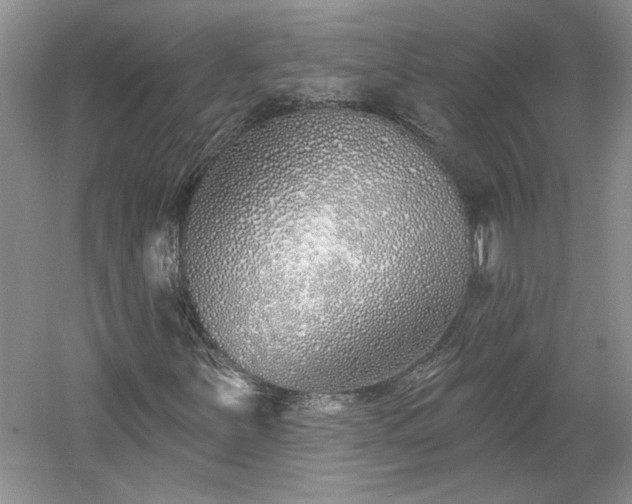 X0000061101251200511210858