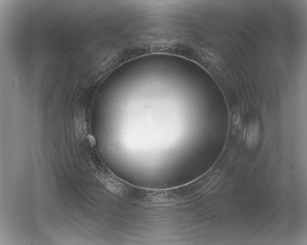 X0000061101252200511210858