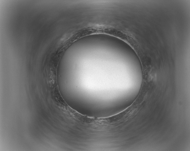 X0000061101253200511210858