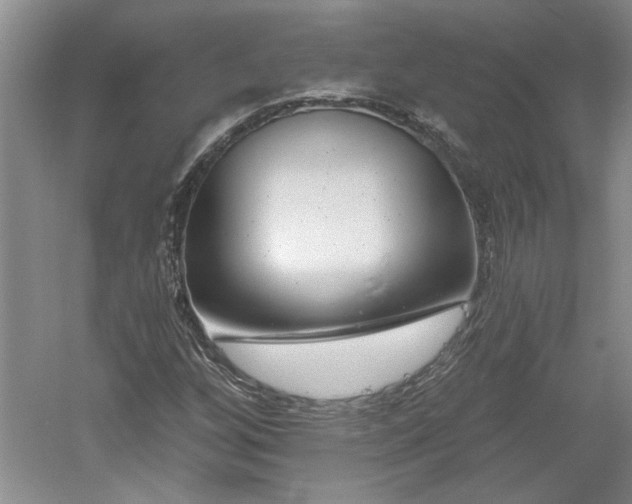X0000061101256200511210858