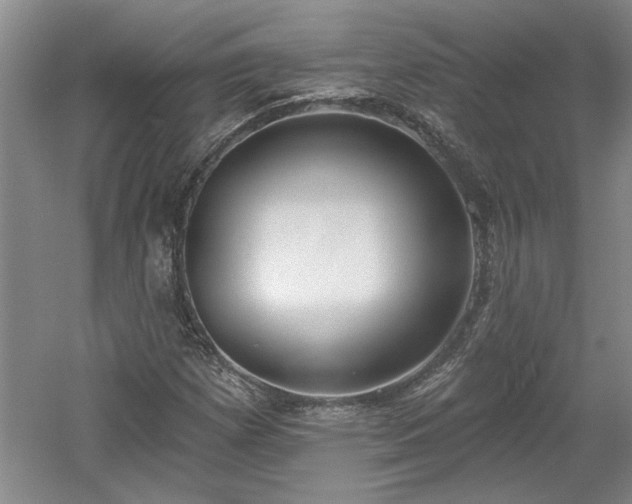 X0000061101257200511210858
