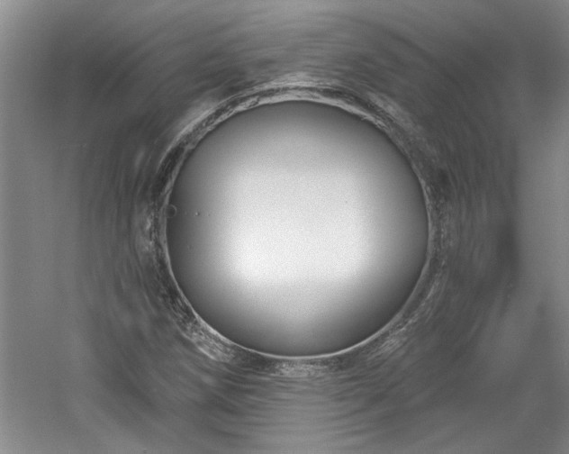 X0000061101258200511210858