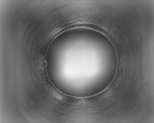 X0000061101265200511210858