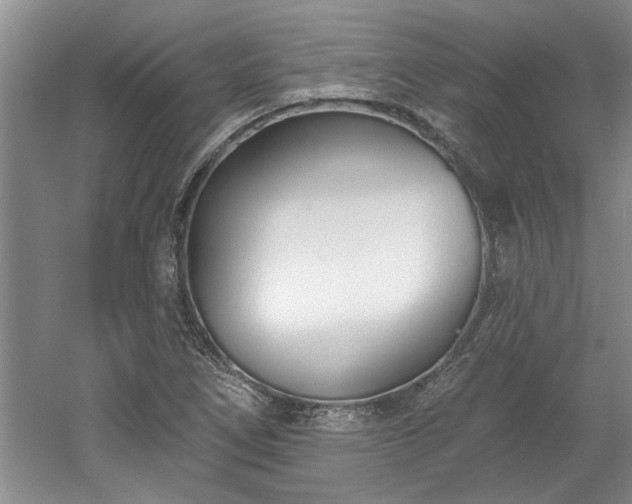 X0000061101266200511210857