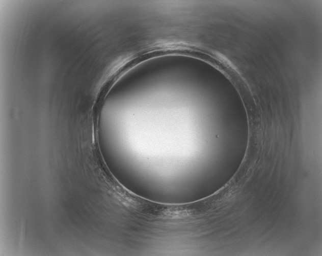 X0000061101269200511210857