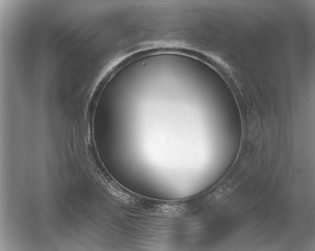 X0000061101271200511210857