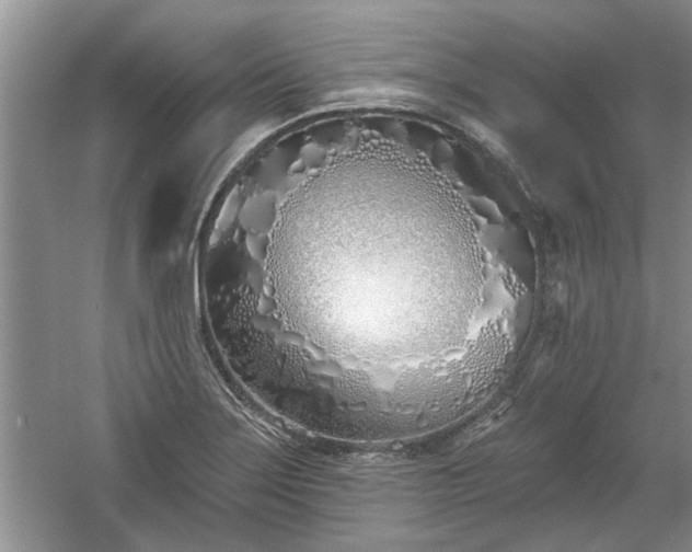 X0000061101275200511210857