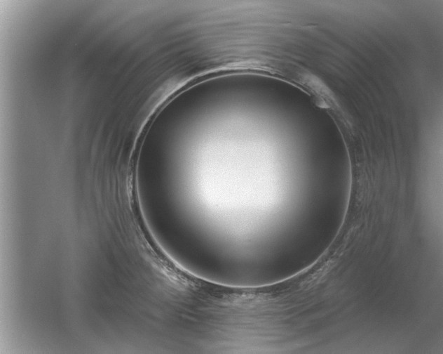 X0000061101284200511210857