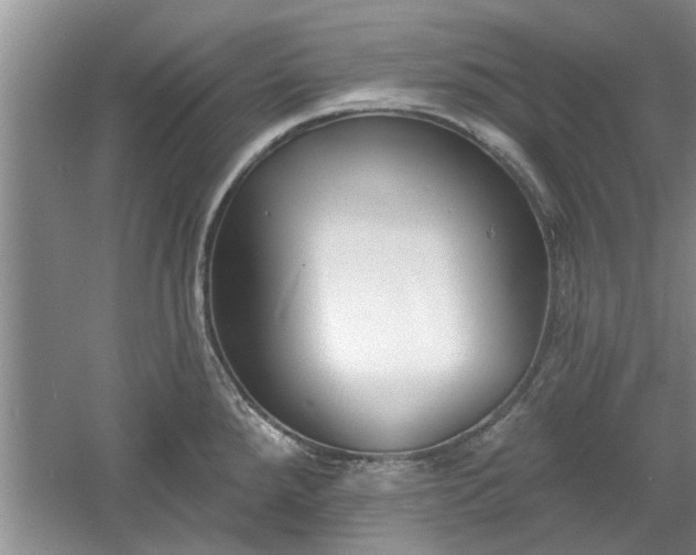X0000061101288200511210857