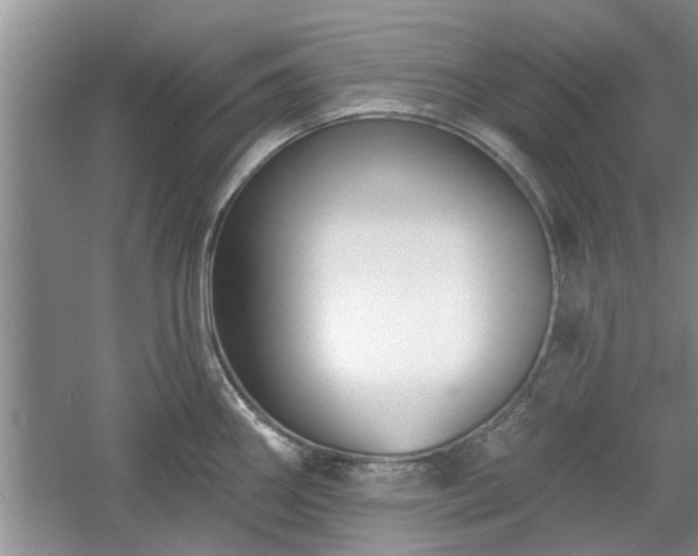 X0000061101290200511210857