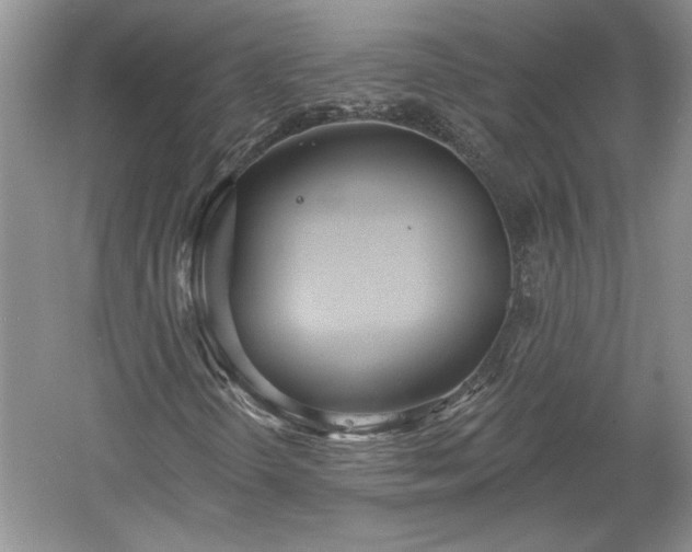 X0000061101298200511210856