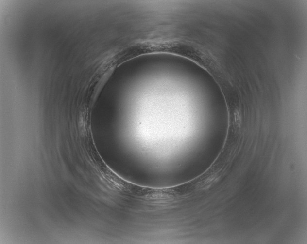 X0000061101300200511210856